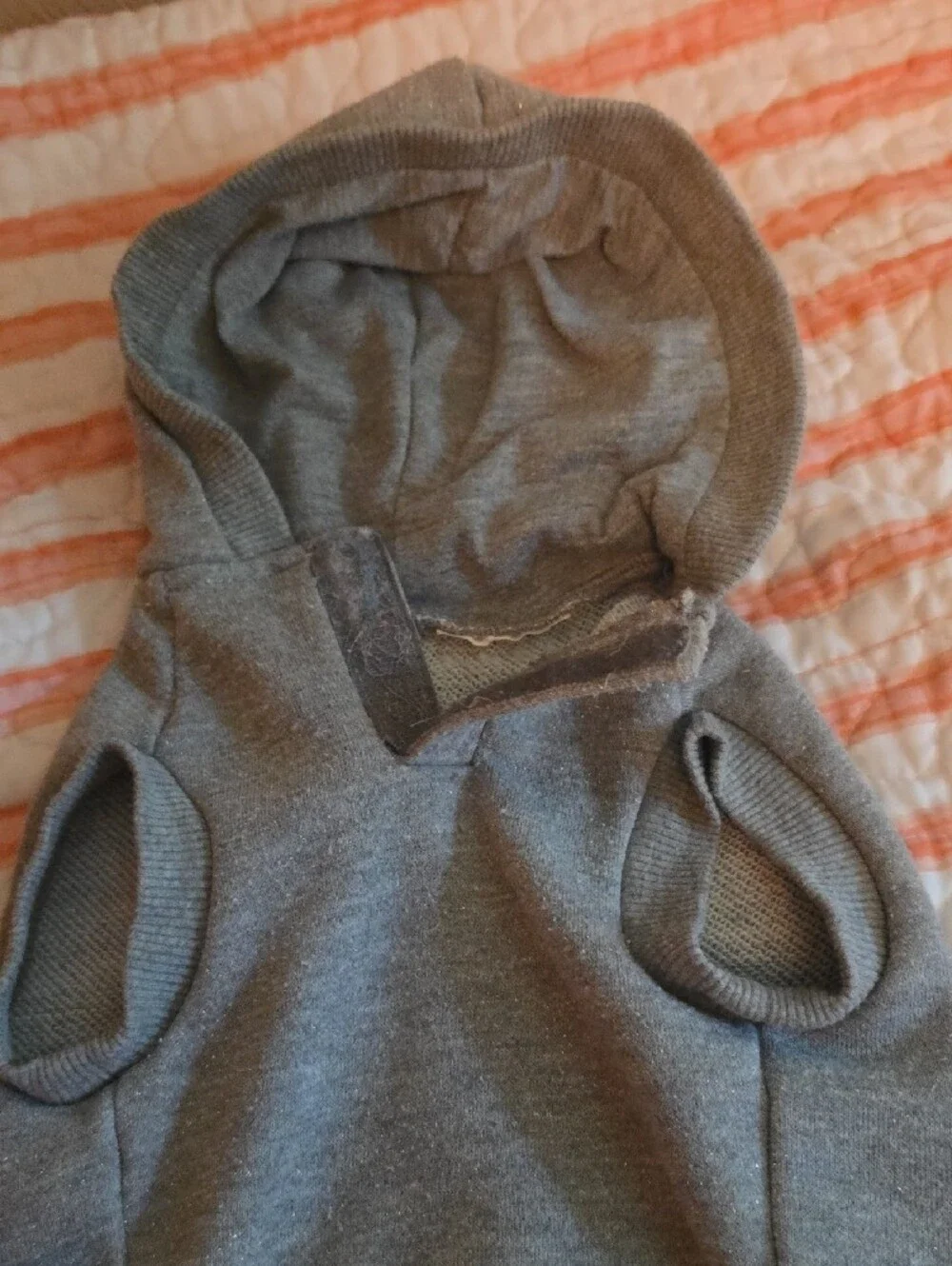 Gray Hooded Pet Sweater with Pink Sequin Bow + Navy Pink Knit Dress